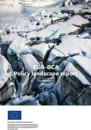 Policy landscape report Summary